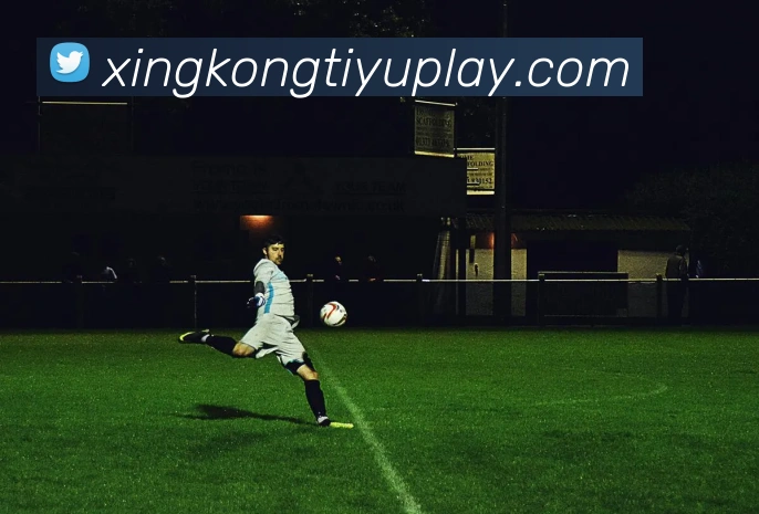 星空体育平台生态图