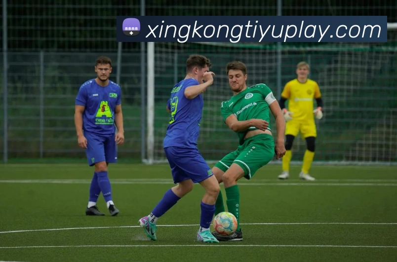 星空体育APP 封面图